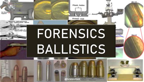 The Crucial Role of Forensic Analysis in Identifying the Magic Bullet in the Forensic Files Case